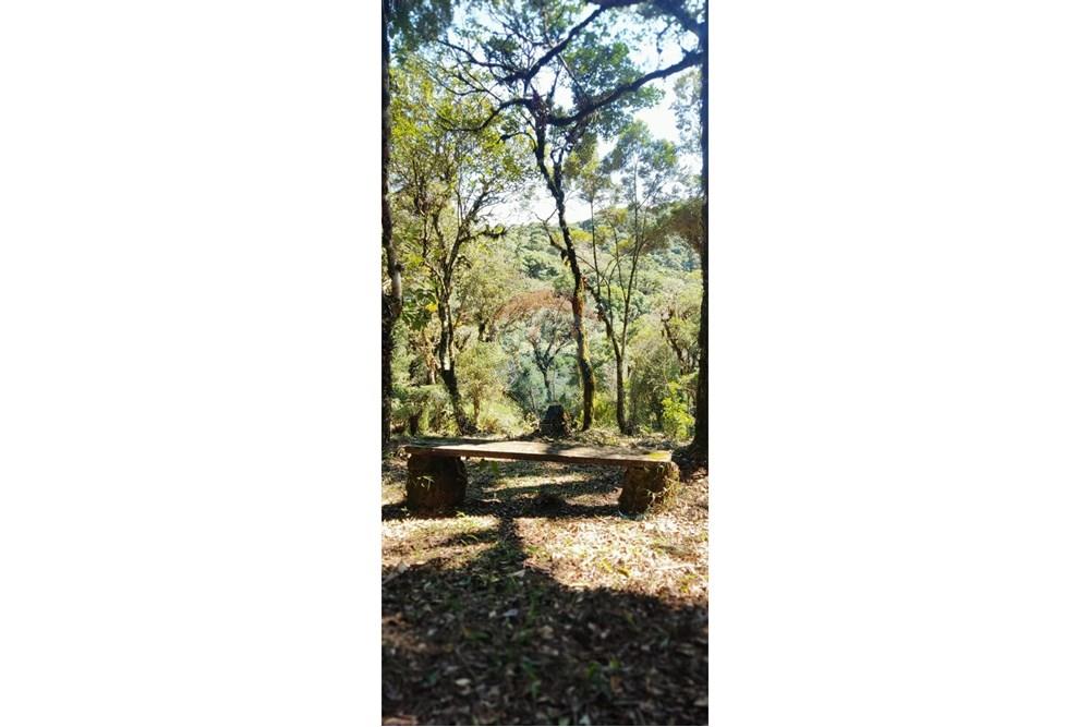 Chácara / Sítio / Fazenda - Venda - São José dos Pinhais , Paraná - 33.jpeg - 560331080-8