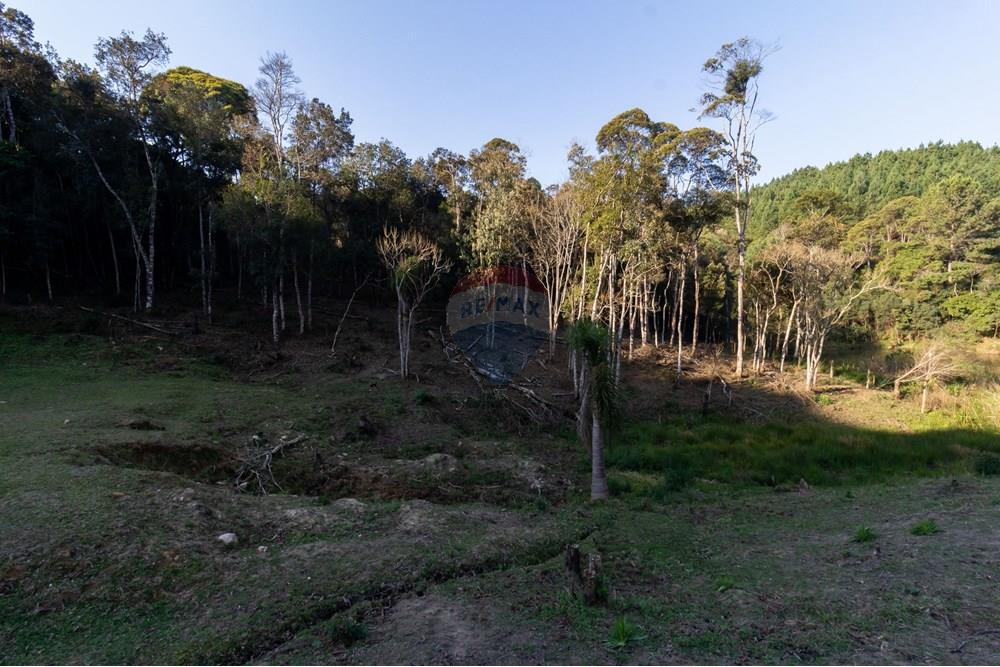 Chácara / Sítio / Fazenda - Venda - Mandirituba , Paraná - IMG_1367.jpg - 560341112-24