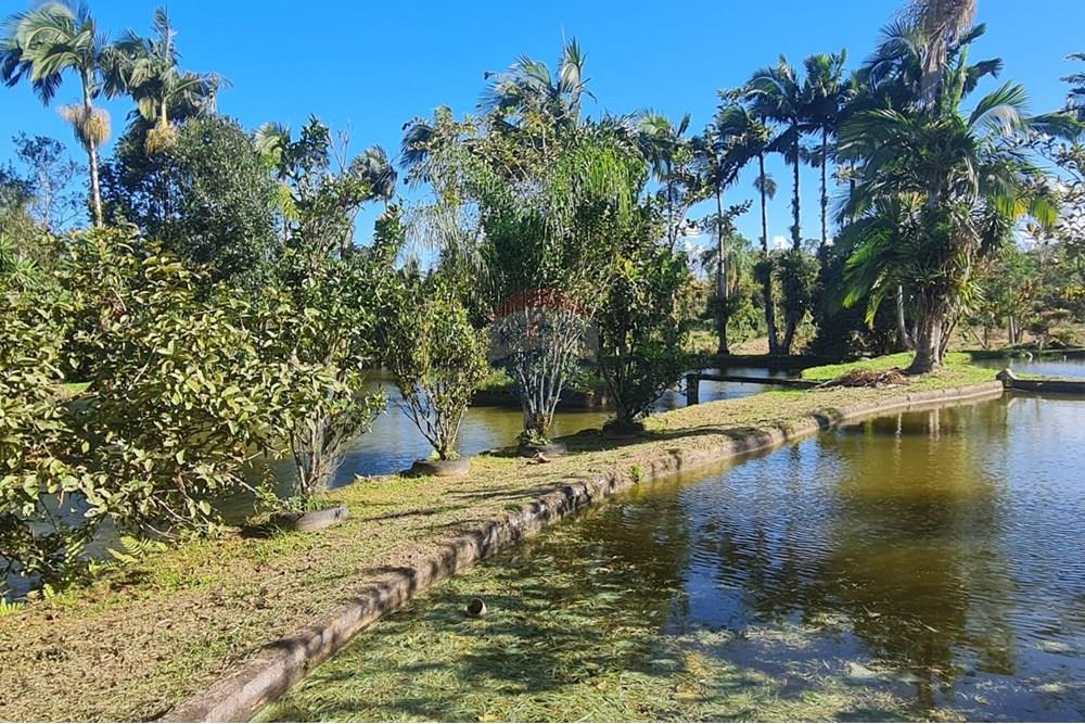 Chácara / Sítio / Fazenda - Venda - Antonina , Paraná - 5fabbb19-80f2-42aa-bb36-c346fab3bb71.jpeg - 560391051-9