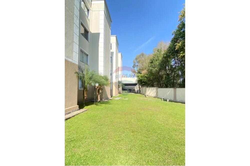 Apartamento - Venda - São José dos Pinhais , Paraná - IMG_5835.jpeg - 560481004-20