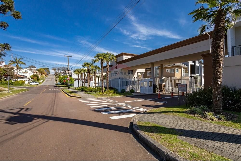 Terreno - Venda - Curitiba , Paraná - IMG_6154.jpg - 560341097-93