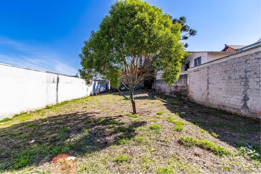 Terreno - Venda - Curitiba , Paraná - IMG_7311.jpg - 560341040-20