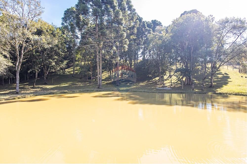 Chácara / Sítio / Fazenda - Venda - Campo Largo , Paraná - F (38).jpg - 560351150-1