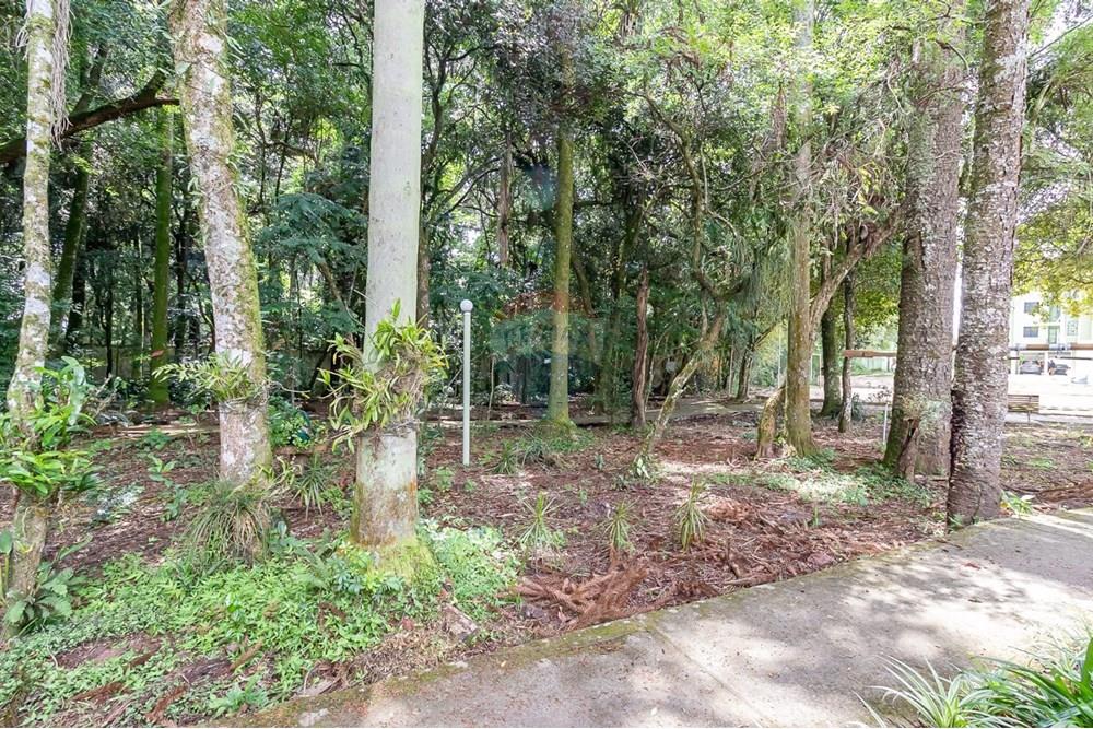 Apartamento - Alugar - Curitiba , Paraná - WhatsApp Image 2025-08-01 at 12.26.36 (1).jpeg - 560441028-4