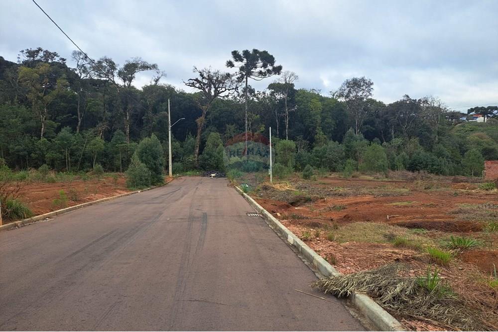 Terreno - Venda - Fazenda Rio Grande , Paraná - WhatsApp Image 2025-08-29 at 19.18.42 (1).jpeg - 560441032-9