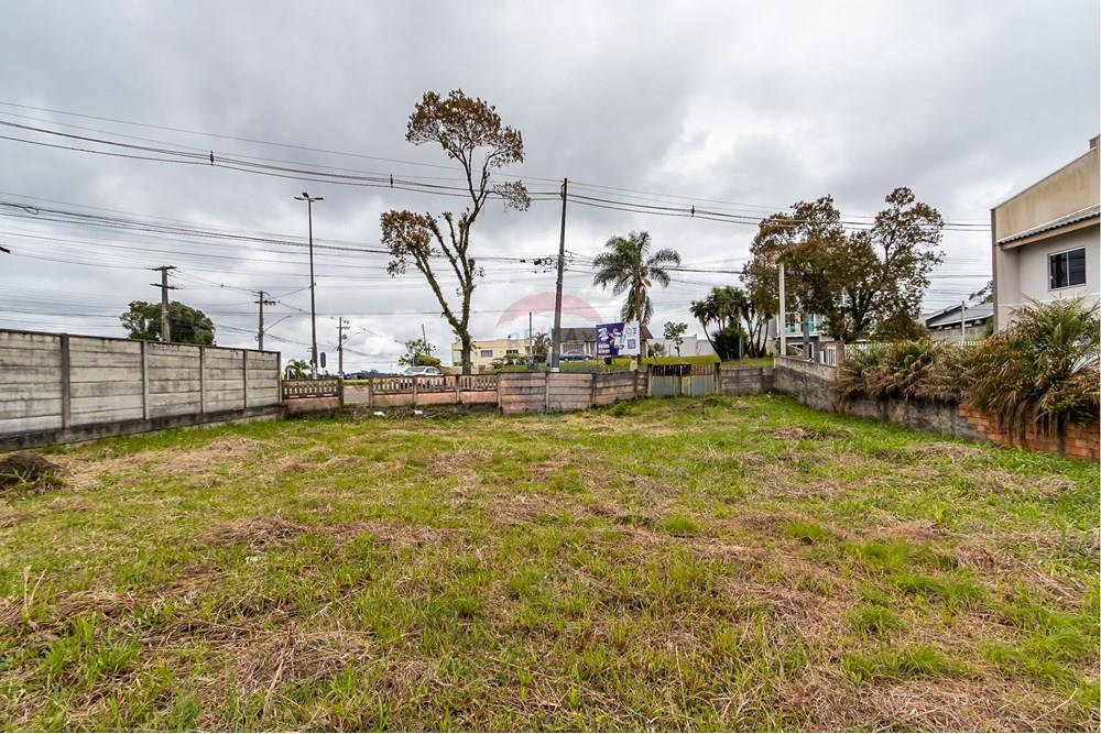 Terreno - Venda - Quatro Barras , Paraná - IMG_9737.jpg - 560411029-21