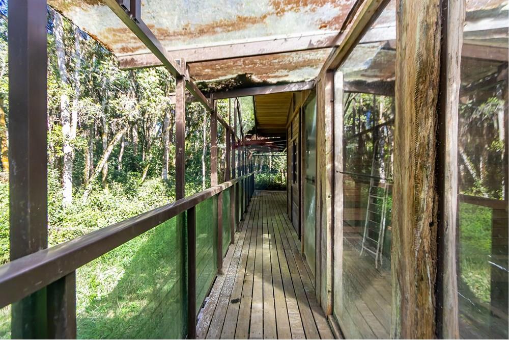 Chácara / Sítio / Fazenda - Venda - Piraquara , Paraná - IMG_3626.jpg - 560431012-39