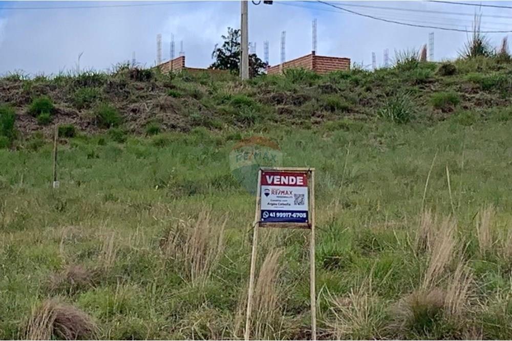 Terreno - Venda - Quatro Barras , Paraná - 01.jpg - 560461019-10