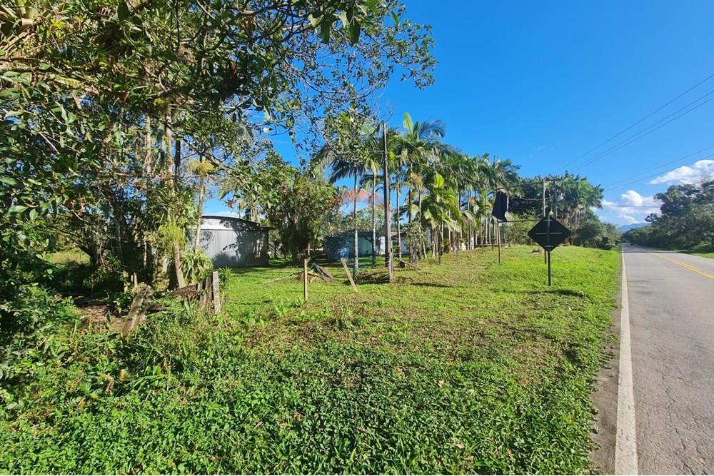 Chácara / Sítio / Fazenda - Venda - Antonina , Paraná - 51e7b19b-4b02-4a60-971c-da837265ab7a.jpeg - 560391051-9