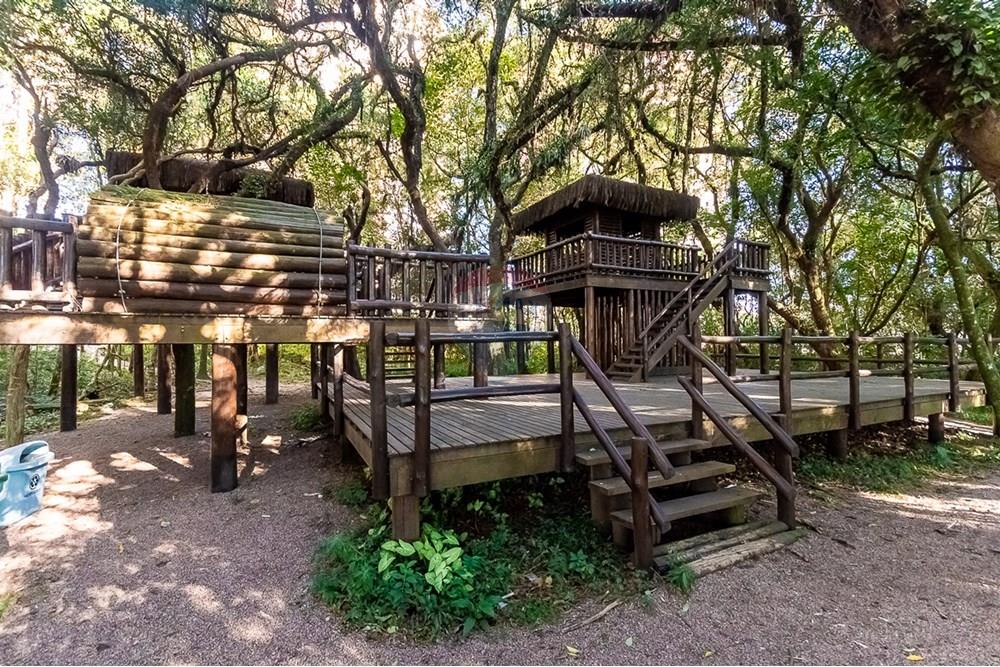 Apartamento - Alugar - Curitiba , Paraná - ProfPedroVPdeSouza-75.jpg - 560311047-543