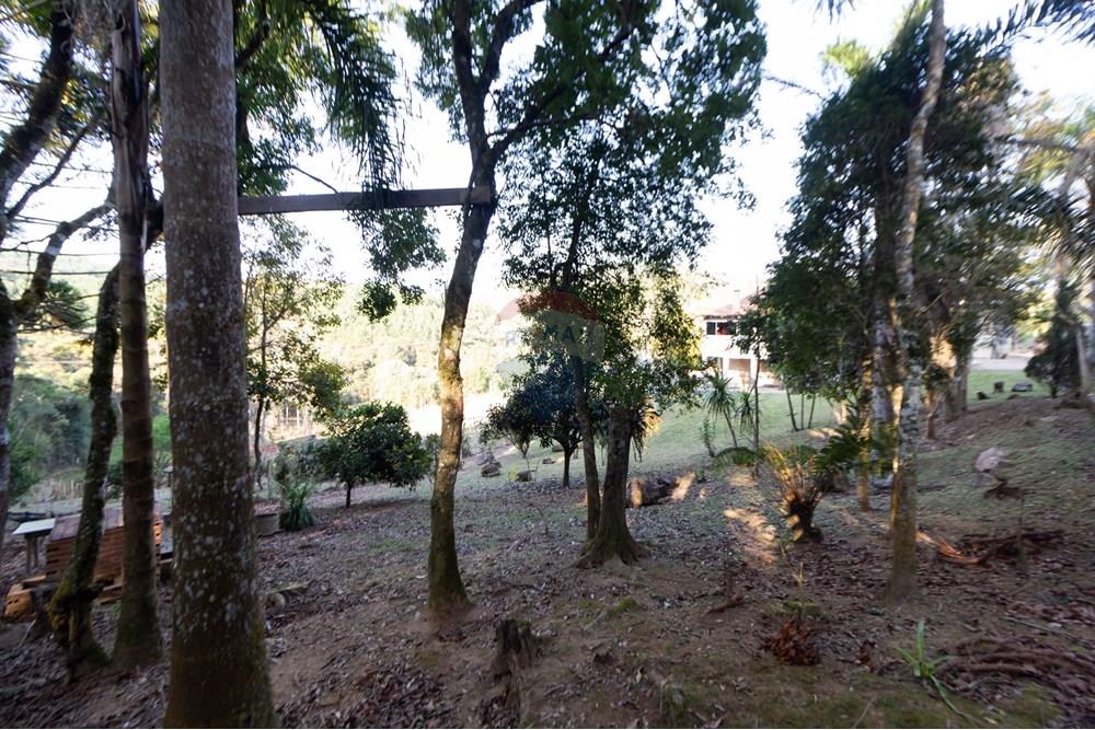 Chácara / Sítio / Fazenda - Venda - Mandirituba , Paraná - IMG_1342.jpg - 560341112-24