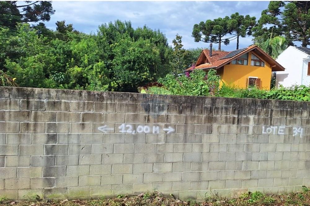 Terreno - Venda - Curitiba , Paraná - WhatsApp Image 2025-04-11 at 15.32.11.jpeg - 560301057-6