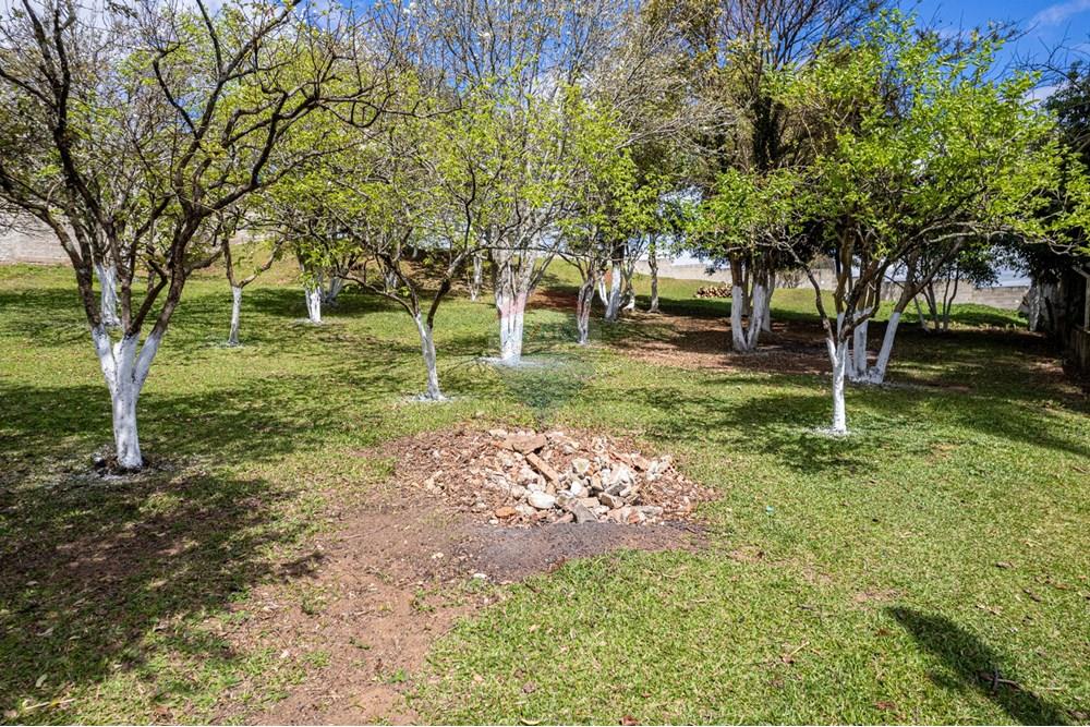 Terreno - Venda - Campo Largo , Paraná - DJI_0836.jpg - 560391078-61