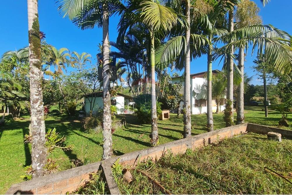 Chácara / Sítio / Fazenda - Venda - Antonina , Paraná - 930a5684-f6ce-44e3-bede-f824760ef984 (1).jpeg - 560391051-9