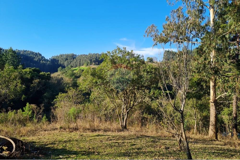 Chácara / Sítio / Fazenda - Venda - Mandirituba , Paraná - 37153be6-0ef3-4d01-a991-5519428365f9.jpeg - 560391051-7