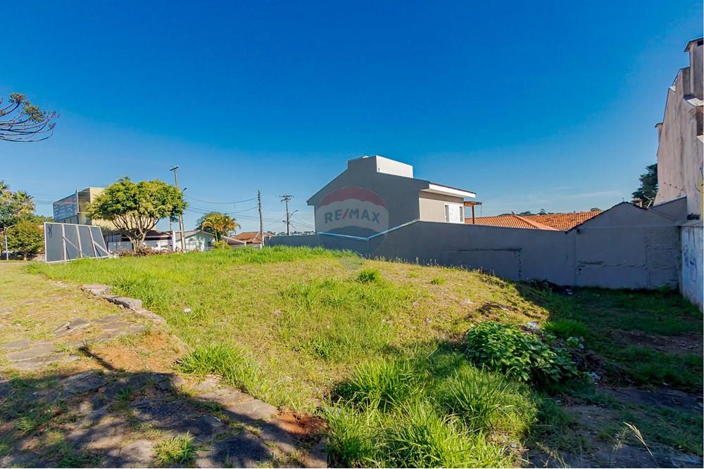 Terreno - Venda - Curitiba , Paraná - IMG_8541.jpg - 560351131-6