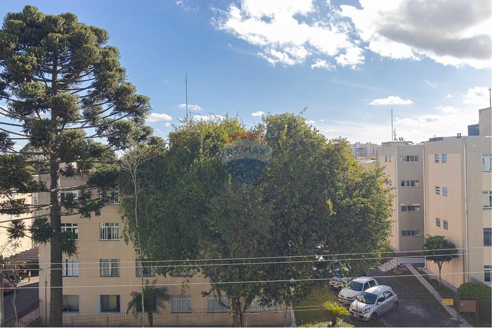 Apartamento - Venda - Curitiba , Paraná - IMG_3453.jpg - 560321145-3