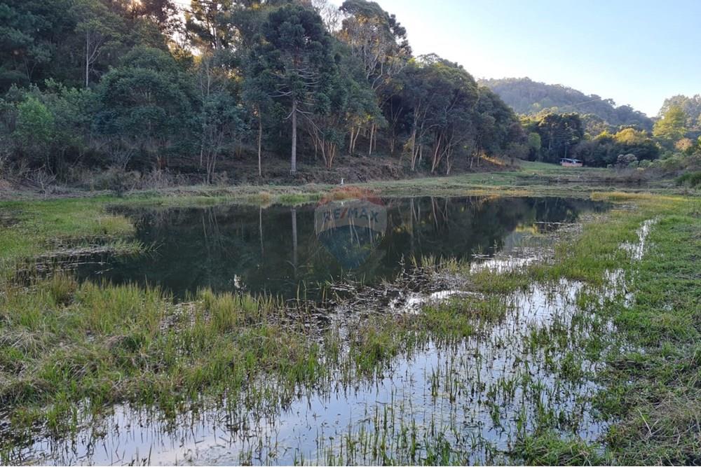 Chácara / Sítio / Fazenda - Venda - Mandirituba , Paraná - 1b9faa5b-8c84-45c3-bc18-790fe8f9d40e.jpeg - 560391051-7