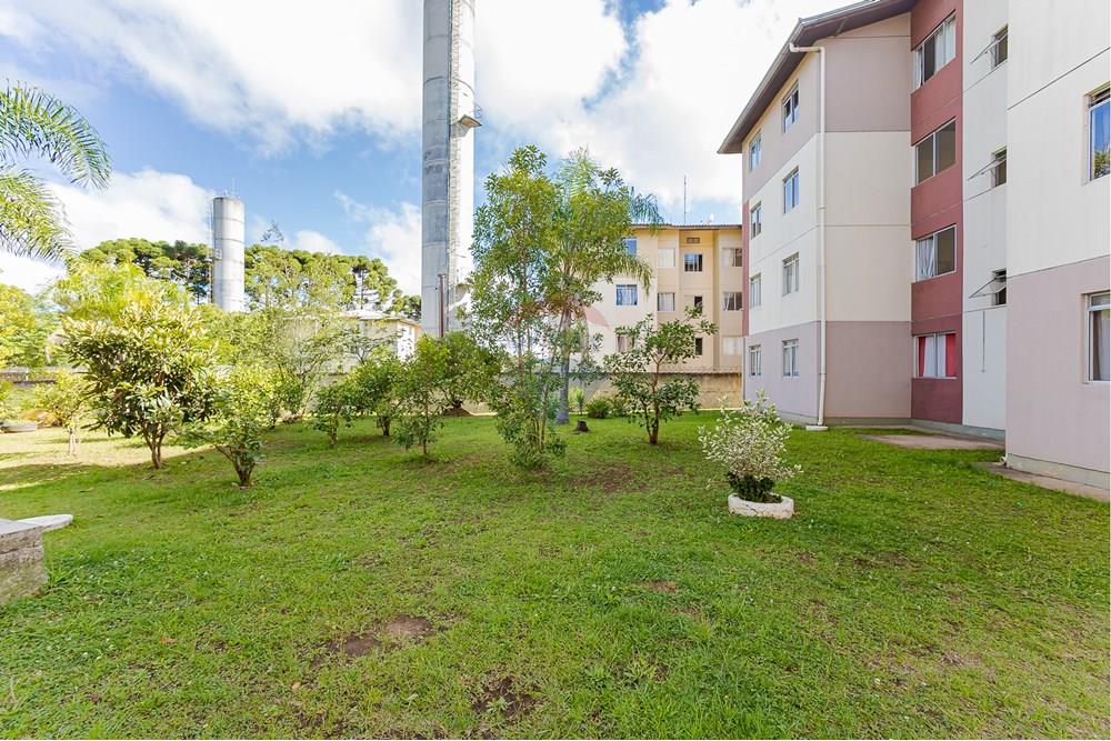 Apartamento - Venda - Curitiba , Paraná - IMG_0191.jpg - 560351054-176