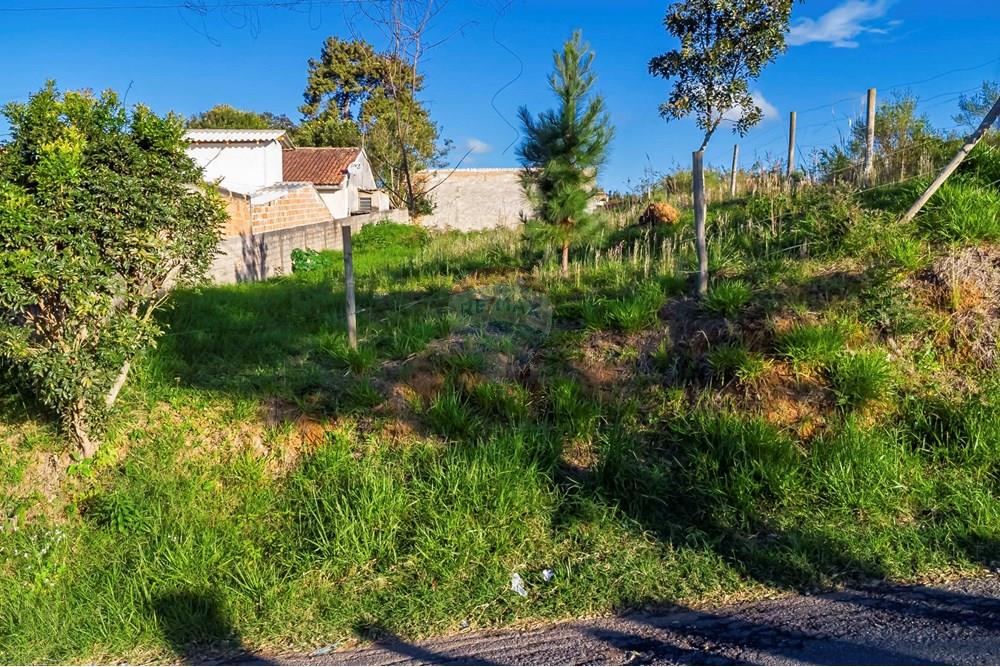 Terreno - Venda - Campo Largo , Paraná - DJI_0751_1.jpg - 560411008-81