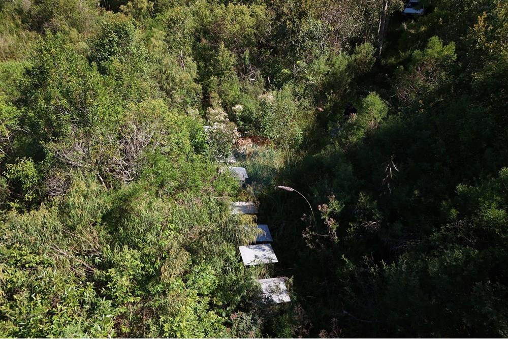 Terreno - Venda - Calmon , Santa Catarina - Caixas Abelhas.JPG - 560351109-12