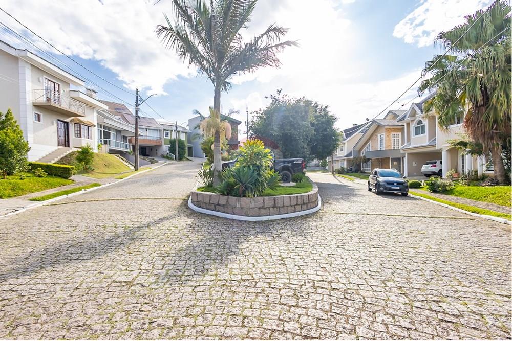 Casa - Alugar - Curitiba , Paraná - IMG_9723.jpg - 560311047-451