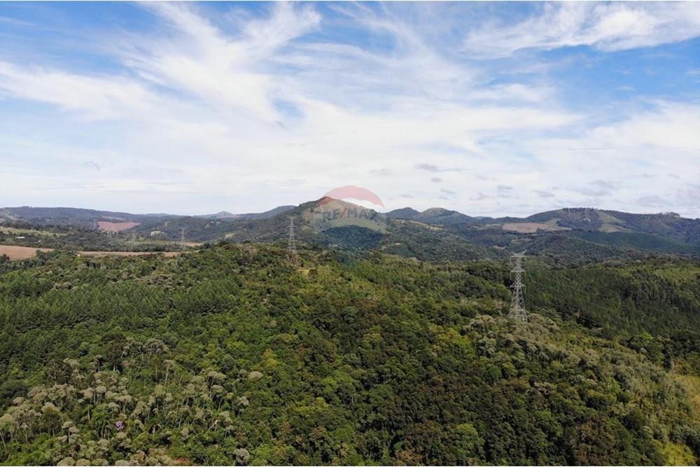 Chácara / Sítio / Fazenda - Venda - Campo Magro , Paraná - WhatsApp Image 2025-04-09 at 19.11.27.jpeg - 560351106-18