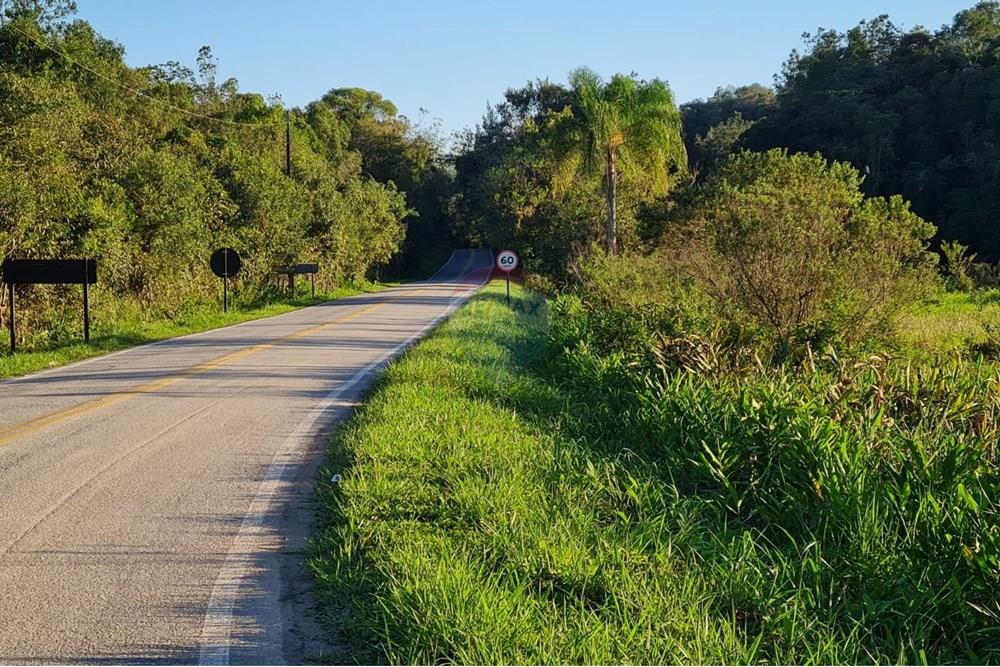 Chácara / Sítio / Fazenda - Venda - Antonina , Paraná - 164365fe-4d0a-4c6b-8898-6526e9af2d07.jpeg - 560391051-9