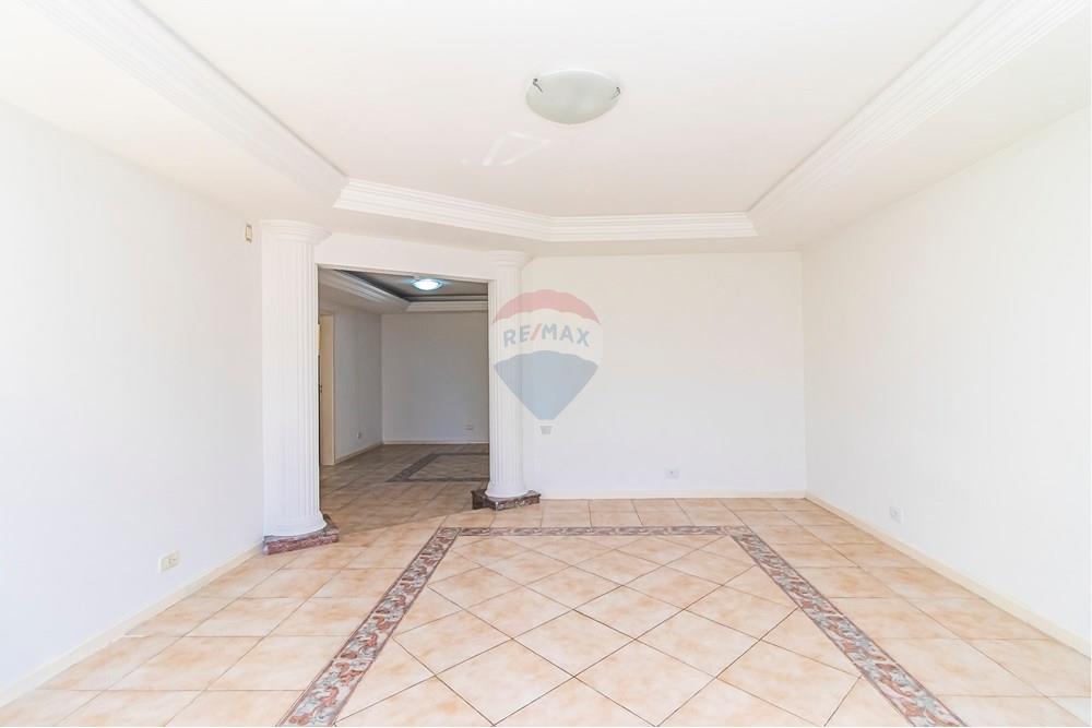 Casa Comercial - Alugar - São José dos Pinhais , Paraná - IMG_9207_1.jpg - 560351125-41