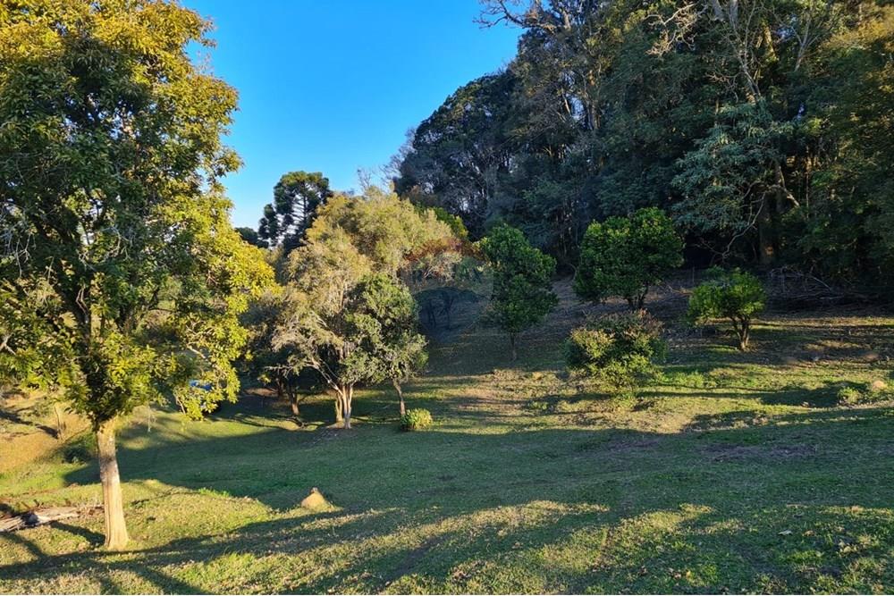 Chácara / Sítio / Fazenda - Venda - Mandirituba , Paraná - 28563826-29bf-4b53-8768-4e09ef7ed2b9.jpeg - 560391051-7