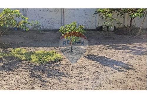 Casa Comercial - Alugar - Rio de Janeiro , Rio de Janeiro - IMG-20240724-WA0145.jpg - 570471019-105