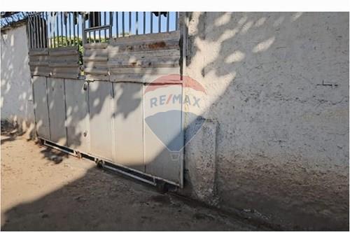 Casa Comercial - Alugar - Rio de Janeiro , Rio de Janeiro - IMG-20240724-WA0137.jpg - 570471019-105