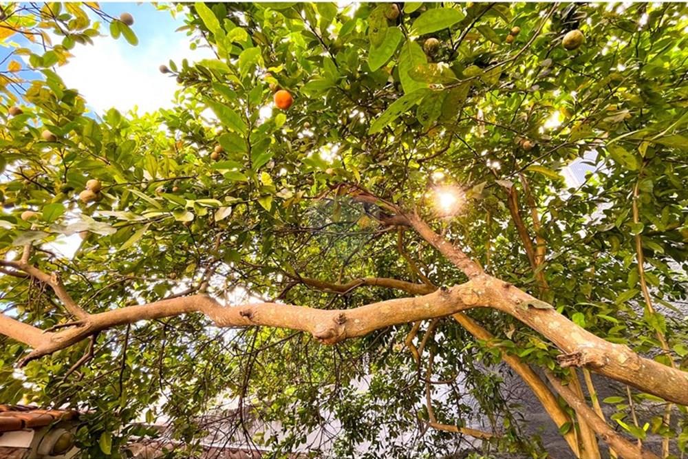 Casa - Venda - Rio de Janeiro , Rio de Janeiro - IMG_3377_jpg.jpeg - Quintal - 570511008-8
