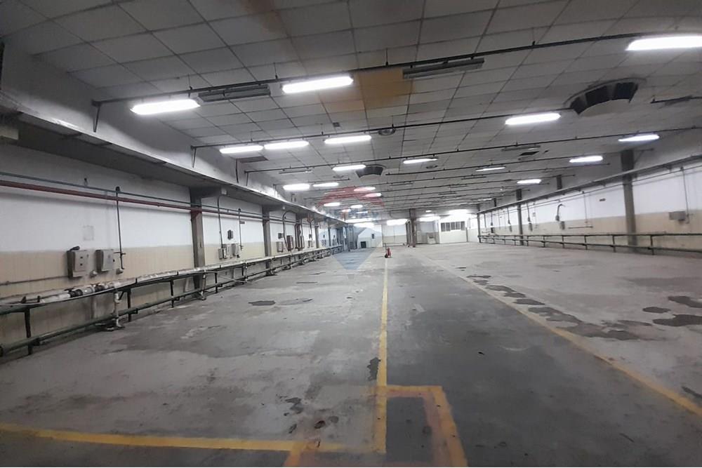 Industrial - Alugar - Rio de Janeiro , Rio de Janeiro - 67.jpg - 570371009-69