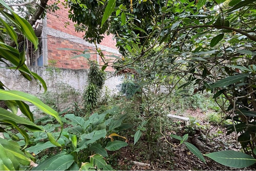 Casa - Venda - Rio de Janeiro , Rio de Janeiro - WhatsApp Image 2025-08-05 at 23.18.33 (2).jpeg - 570371033-30