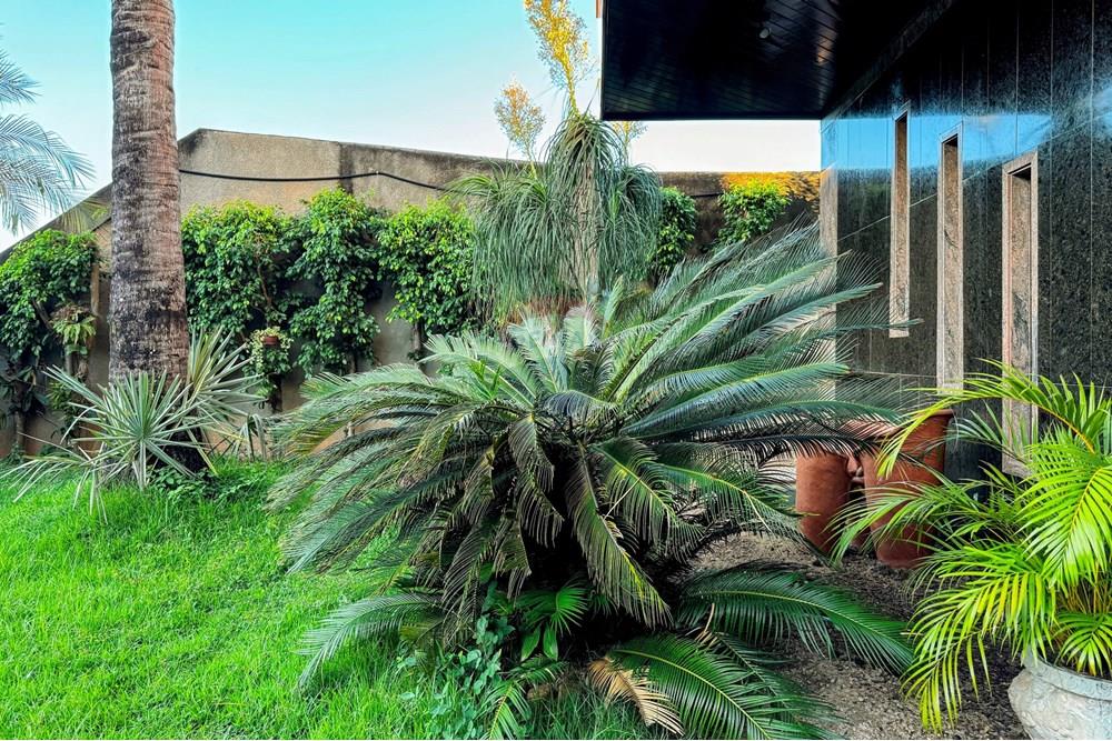 Apartamento - Venda - Rio de Janeiro , Rio de Janeiro - IMG_2602-EDIT.jpg - 570381027-232