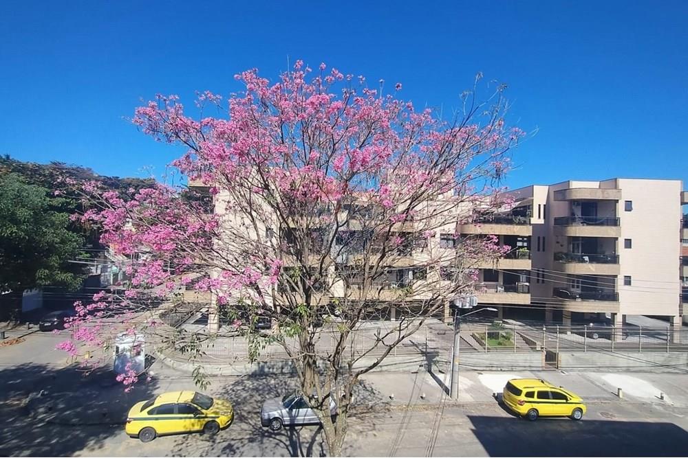 Casa - Venda - Rio de Janeiro , Rio de Janeiro - WhatsApp Image 2025-08-21 at 18.15.36 (4).jpeg - Terraço - 570391005-76