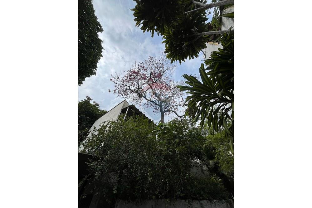 Casa - Venda - Rio de Janeiro , Rio de Janeiro - WhatsApp Image 2025-08-05 at 23.18.47 (4).jpeg - 570371033-30