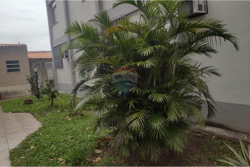 Apartamento - Venda - Rio de Janeiro , Rio de Janeiro - IMG-20250107-WA0559.jpg - 570461006-103