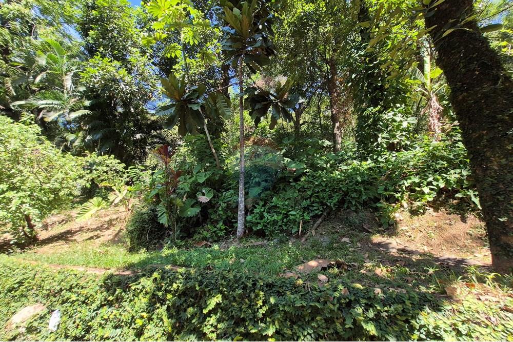 Apartamento - Venda - Rio de Janeiro , Rio de Janeiro - 20250403_101444.jpg - 570491046-4