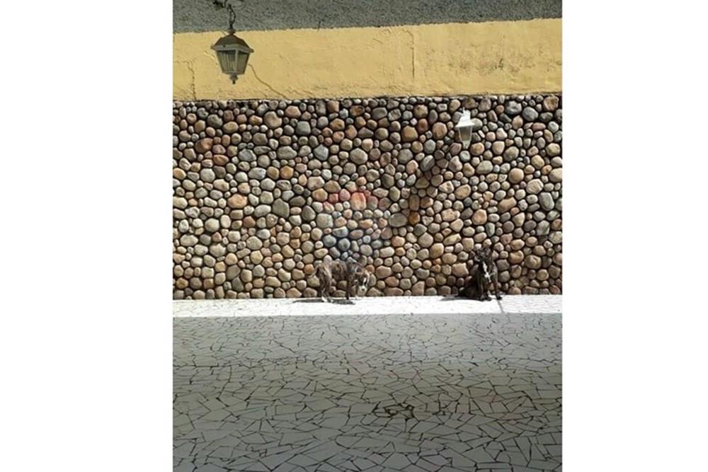 Terreno - Venda - Rio de Janeiro , Rio de Janeiro - Imagem do WhatsApp de 2025-02-13 à(s) 10.11.17_2eae9bf2.jpg - 570511012-12