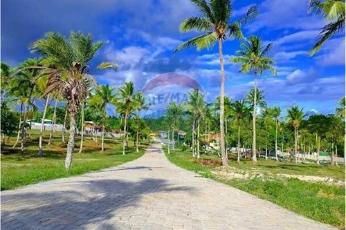 Venda-Terreno-Barro Branco , Mata de São João , Bahia , 48280-000-580601014-64