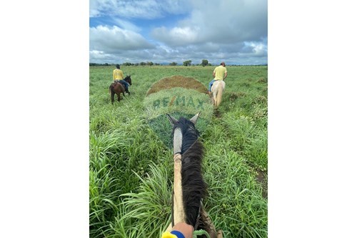 Venda-Agro-Centro , Wanderley , Bahia , 47940000-580791016-14