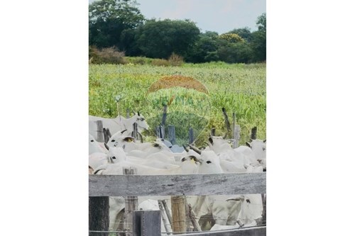 Slider 360 thumbnail