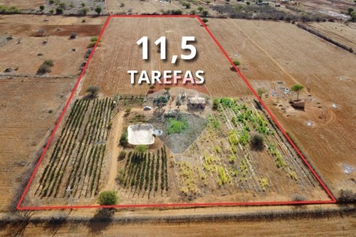 Venda-Terreno-Zona Rural , Irecê , Bahia , 44876899-580841008-85