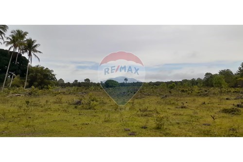 Venda-Chácara / Sítio / Fazenda-Centro , Caravelas , Bahia , 45900000-580411006-269