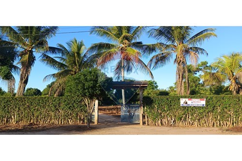 Venda-Chácara / Sítio / Fazenda-Praça Kennedy , Alagoinhas , Bahia , 48024899-580701025-58