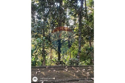 Venda-Terreno-Km 64 da BA 001 Estrada de Ilhéus , lote 31  - Próximo a prainha, e Praia São José  - Villas de São José , Itacaré , Bahia , 45530000-580331013-747