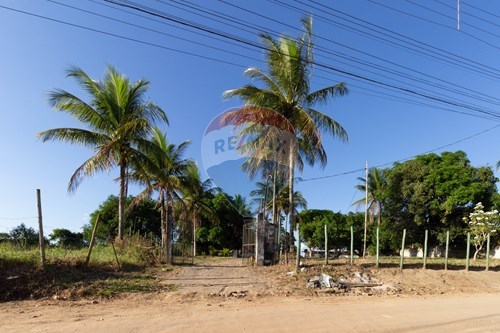 Venda-Fazenda-Santa Terezinha , Santo Antônio de Jesus , Bahia , 44445124-580341015-73