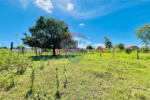 Venda-Terreno-Boa Sorte , Barreiras , Bahia , 47800-000-580651065-31